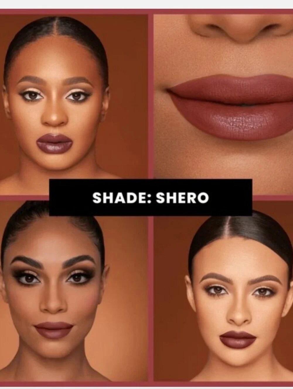 Ace Beauté Pout Perfect Liquid Lipstick (Shero)
